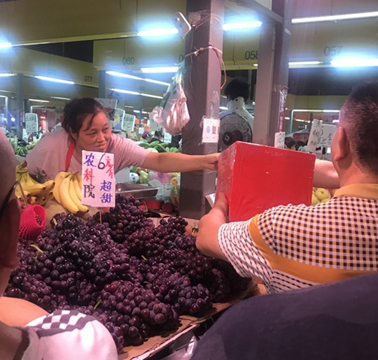 2025澳门原料网1688